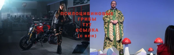 крисы Заводоуковск