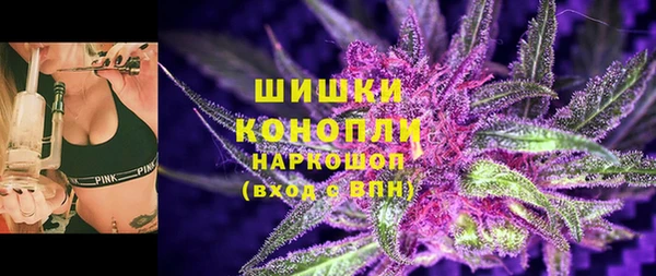 крисы Заводоуковск