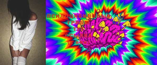 PSILOCYBIN Елабуга