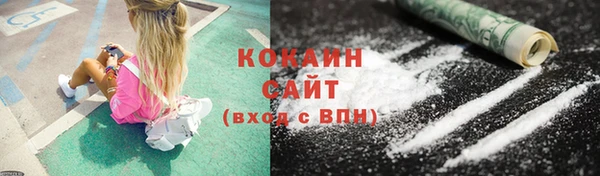 крисы Заводоуковск
