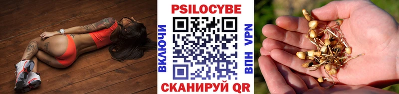 Купить где  Козьмодемьянск  Галлюциногенные грибы Cubensis 