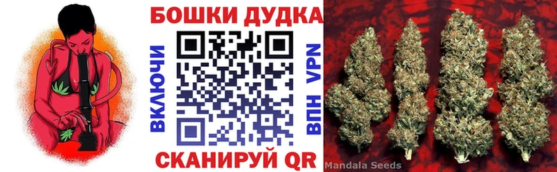 Канабис план  Купить  Козьмодемьянск 